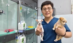 [#나눔동행] 한 마리라도 더 건강해졌으면…부산 유기동물 수호천사