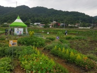 1평의 기쁨…전주시 도심에 텃밭·체험농장 조성