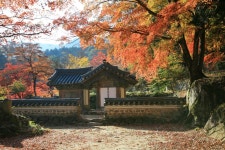 거닐며 마음의 평화를…코로나 시대 주목받는 생태도시 순천