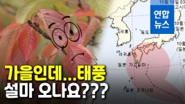 [영상] 14호 태풍 '찬홈' 한반도로 올까…예상 경로는