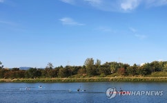 춘천 공지천의 가을