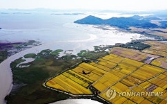 가을의 순천만 습지