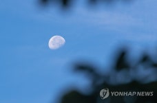 아침에도 떠 있는 가을 달