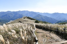 정선 민둥산의 가을 풍경