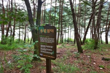 [걷고 싶은 길] 금강산 지맥 끝자락, 파로호 수변길