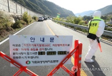 화천서 아프리카돼지열병 발생…농가 통제