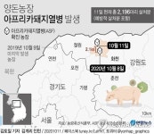 [그래픽] 양돈농장 아프리카돼지열병 발생