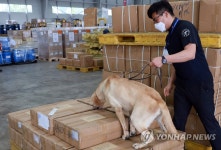 곰돌이 인형 속에 대마가…코로나로 특송화물 밀수 급증 우려