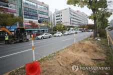 광주 상무대로 수목 이식…지하철 2호선 공사 본격화