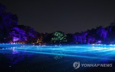 빛으로 물든 연못