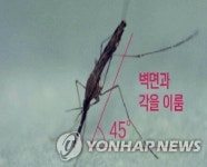 강원 채집 모기서 말라리아 감염 확인…기피제 등 예방수칙 준수