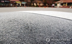 춥다 하얗게 내린 대관령 서리