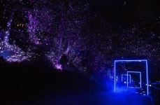 통영 남망산공원 반짝이는 숲