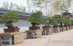 국립세종수목원 분재원에 전시된 분재들