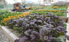 국립세종수목원 생활정원