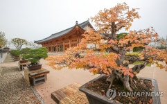 국립세종수목원 분재원 야외전시