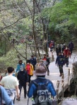행락객으로 붐비는 청계산 등산로