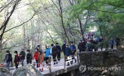 청계산 등산 나선 행락객들