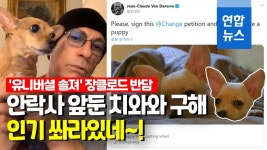 [영상] 장클로드 반담, 안락사 앞둔 치와와 구해…인기 살아있네!