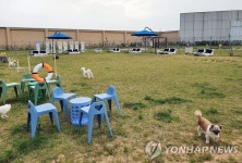 반려동물 놀이터 펫파크