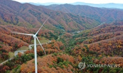 가을로 물든 운두령