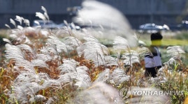 바람 부는 가을