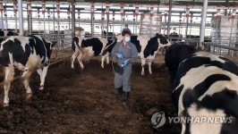 소·돼지 분뇨 내달부터 4개월간 권역 밖 이동 제한
