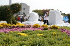 해남군민광장 국화향연 속 눈 조각 이색 볼거리