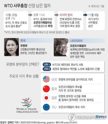 [그래픽] WTO 사무총장 선정 남은 절차 | 포토뉴스