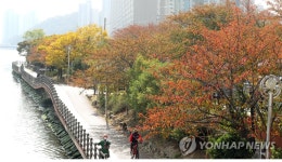 깊어가는 수영강변 가을