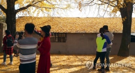 지붕에 도착한 가을