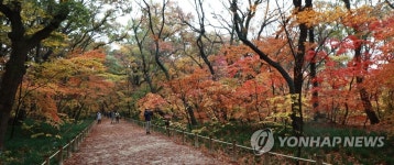 오색단풍 상림공원