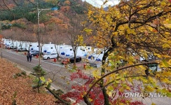 단풍 물든 치악산
