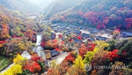 백양사의 단풍