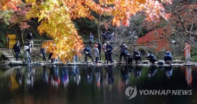 단풍 한 컷