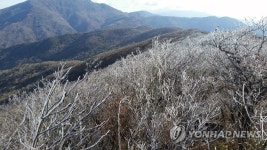 겨울 찾아온 지리산 노고단