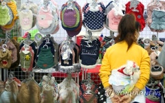 애견용품 한자리에