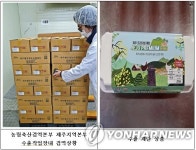 제주산 계란 중동 두바이 갔다…한국인 경영 유통업체서 수입