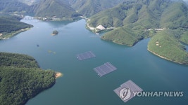 수상 태양광 중 국내 첫 친환경 인증받은 충주댐 설비