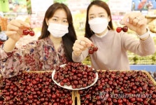 롯데마트, 호주 본토 산 체리 출시