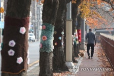 보행문화 활성화 위한 서울걷자