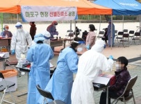 서울 마포구 창천초 학생 1명 확진…260명 전수검사