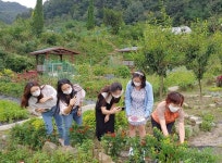 마을배움터 온라인으로 경험하세요 세종교육원 영상 제작