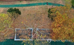 광주 양산호수공원의 산책길