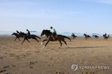 익산시, 용안생태습지공원 인근에 공공 승마장 내년 말 완공