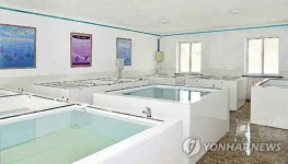 맛좋고 영양가 높은 자라 북한, 태천 자라양식장 준공