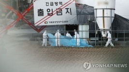 나주 AI 의심 농가 주변 오리농장 모두 음성