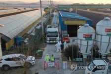 나주도 오리 농장 고병원성 AI 확진