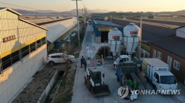 나주도 고병원성 AI 확진, 예방적 살처분