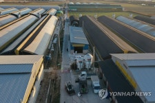 나주 오리농장 고병원성 AI 확진에 예방적 살처분